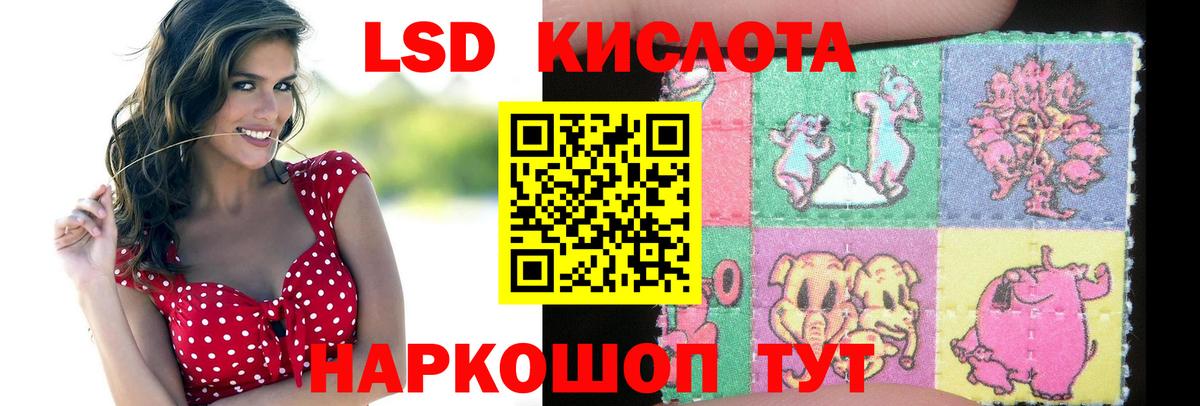 Новозыбков  Лсд 25 экстази ecstasy  Лсд 25 экстази кислота  Вход с VPN 