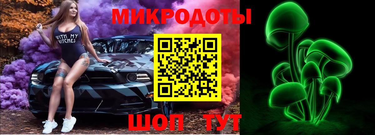 Псилоцибиновые грибы Cubensis  Вход с VPN  Новозыбков 